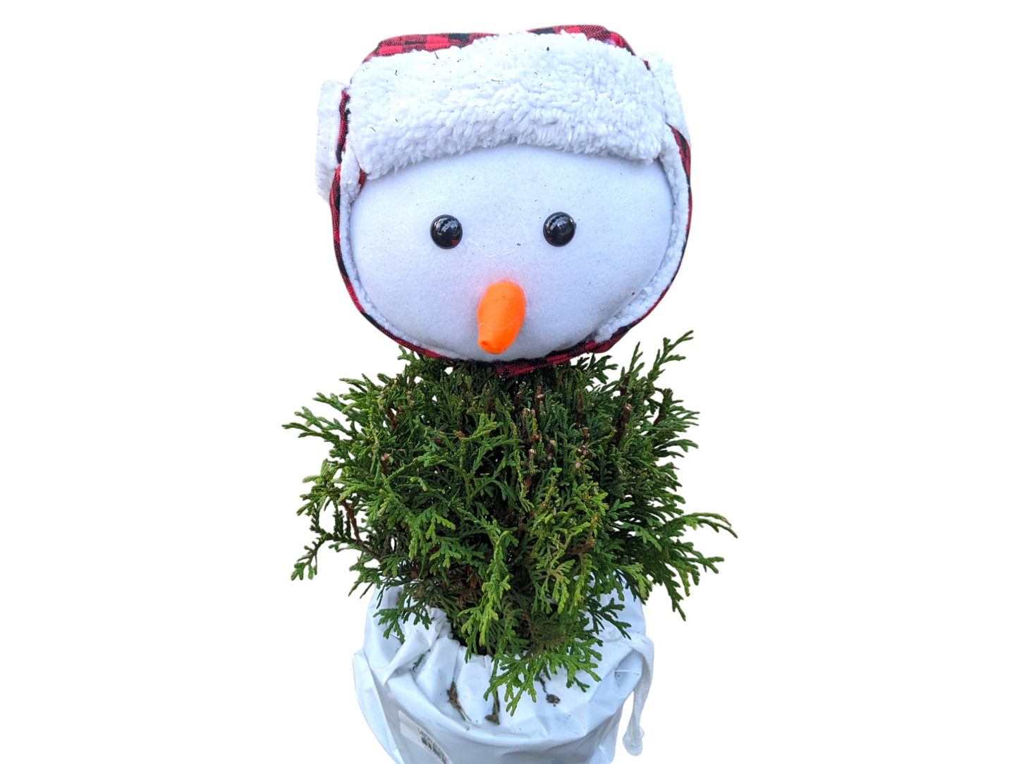 1 Gallon Snowman Tree