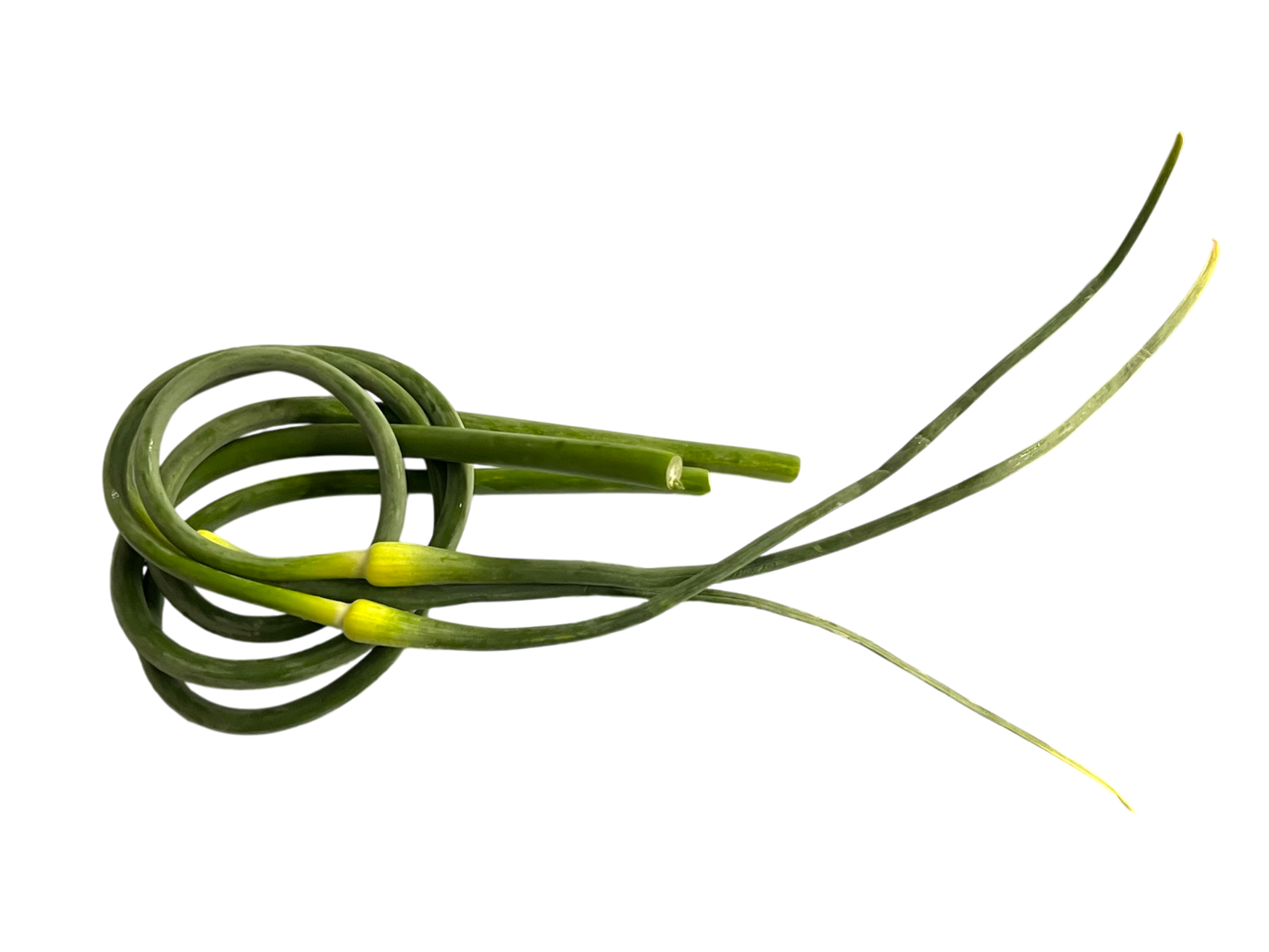Garlic Scapes 1 Ib