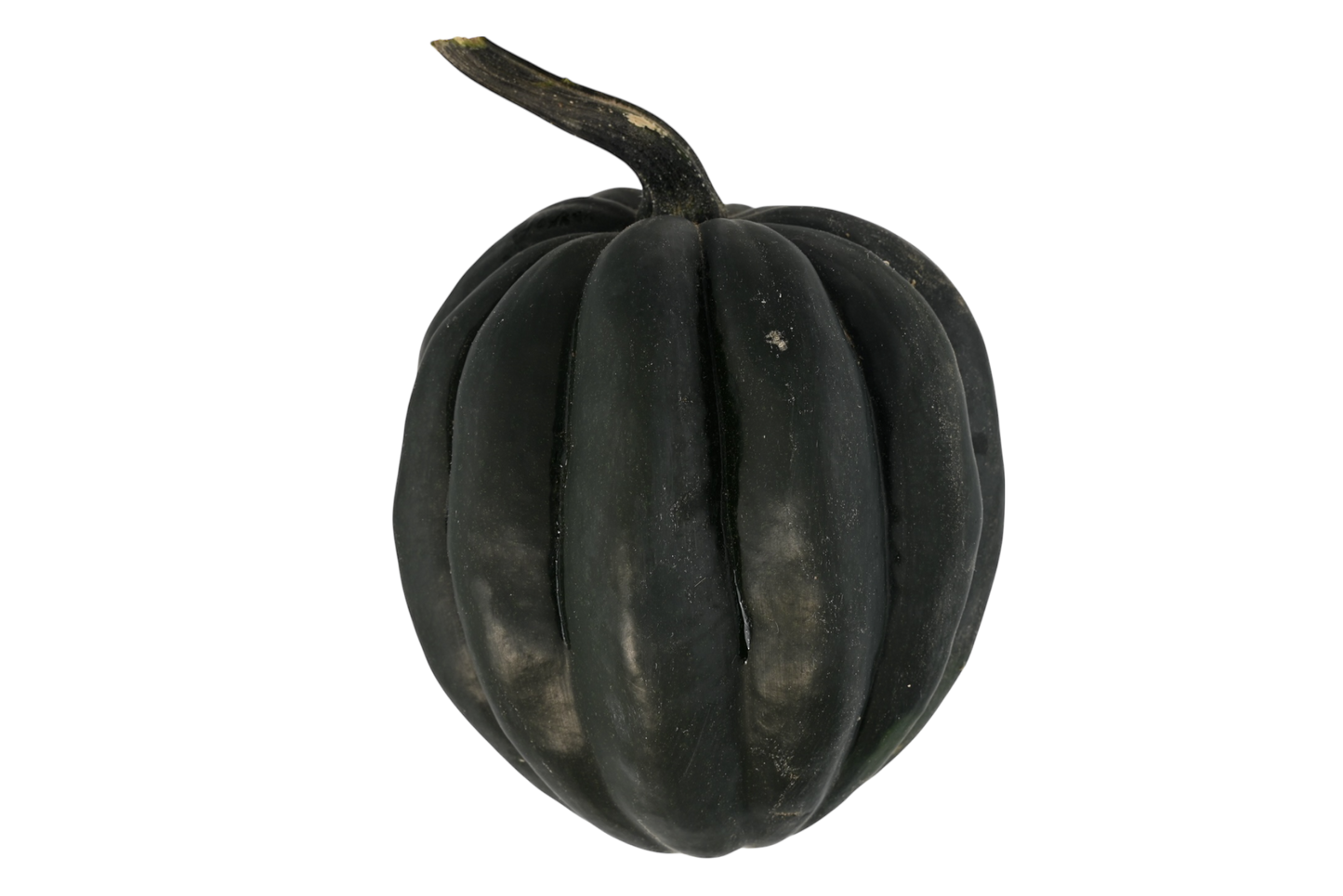 Acorn Squash