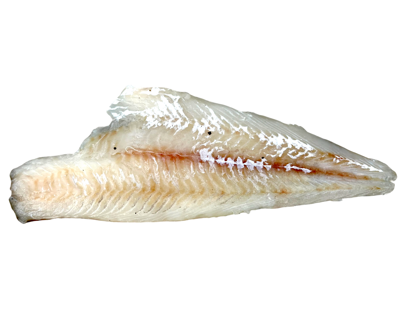 Atlantic Haddock Fillets -2pack - 4oz to 6oz Skinless, Boneless (Frozen)