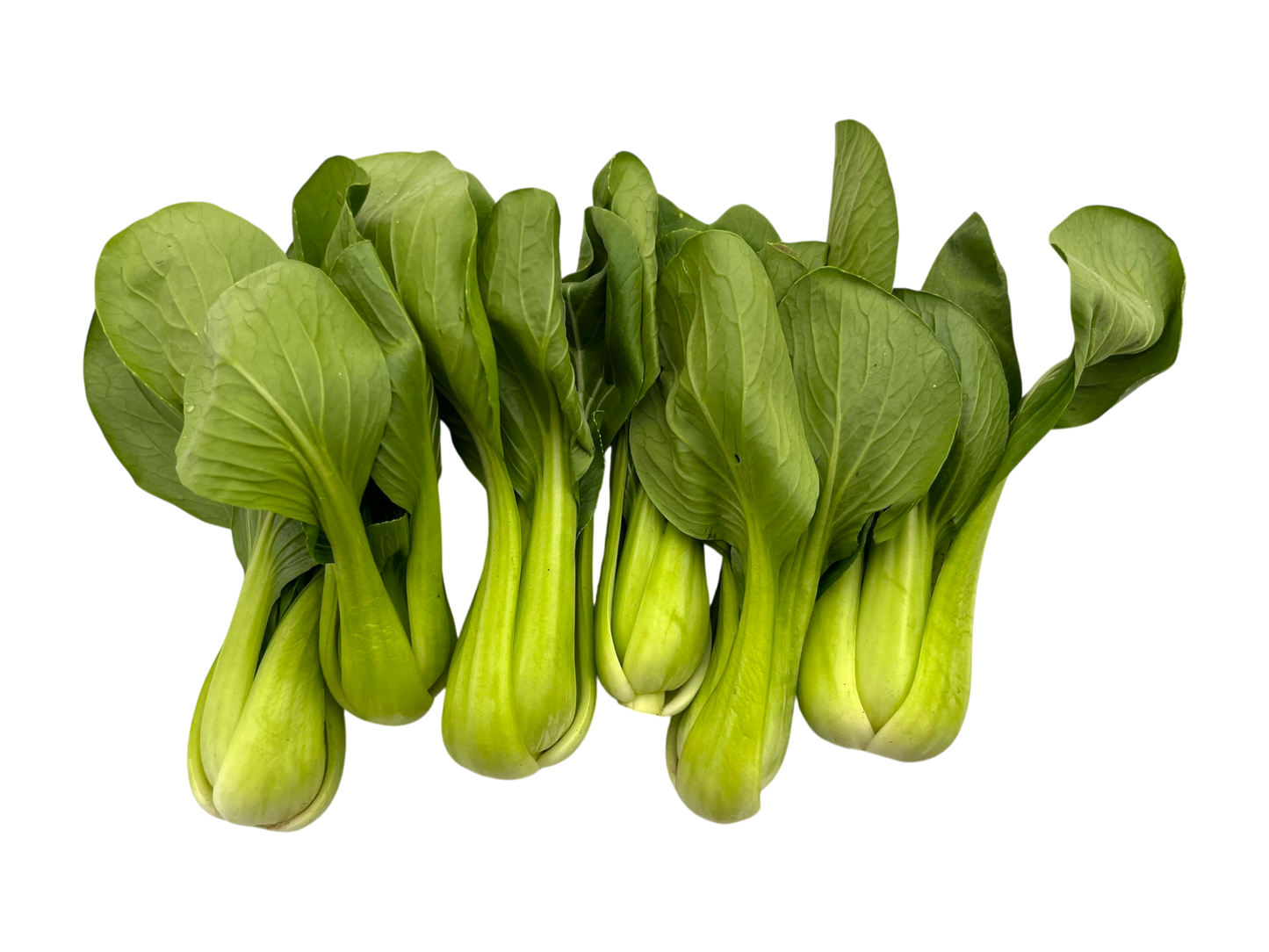 Baby Bok Choy - 1lb - Local
