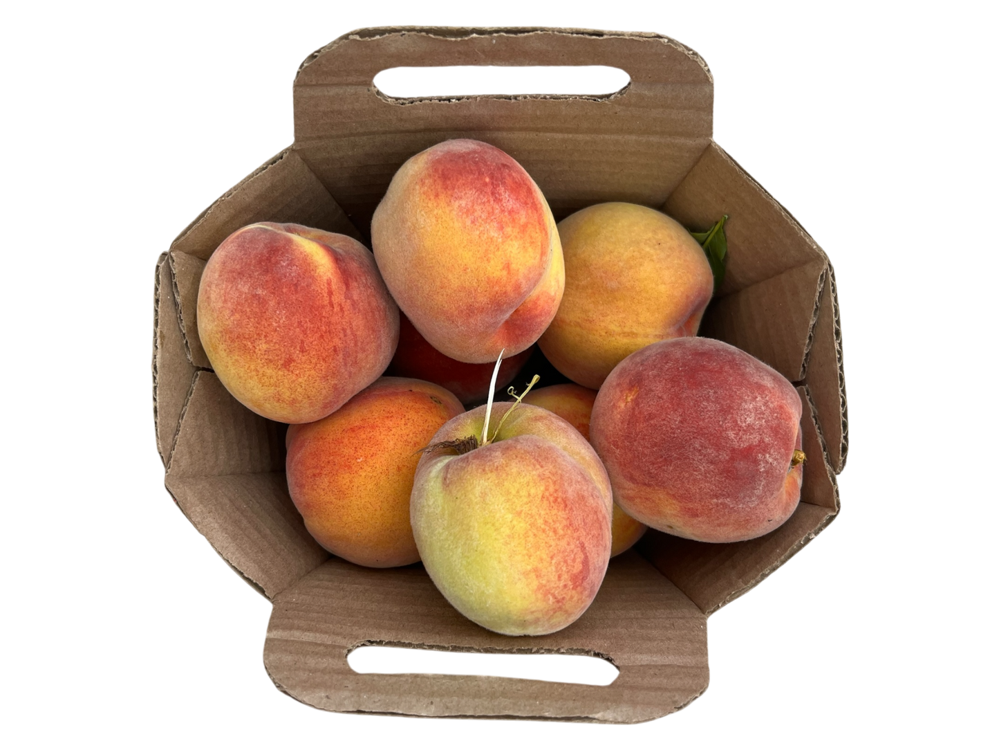 Local Peaches