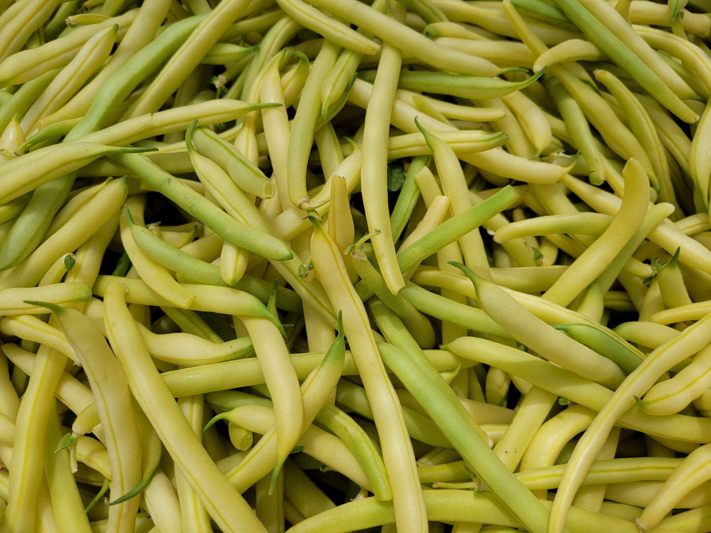 Wax Beans - Local - 1lb