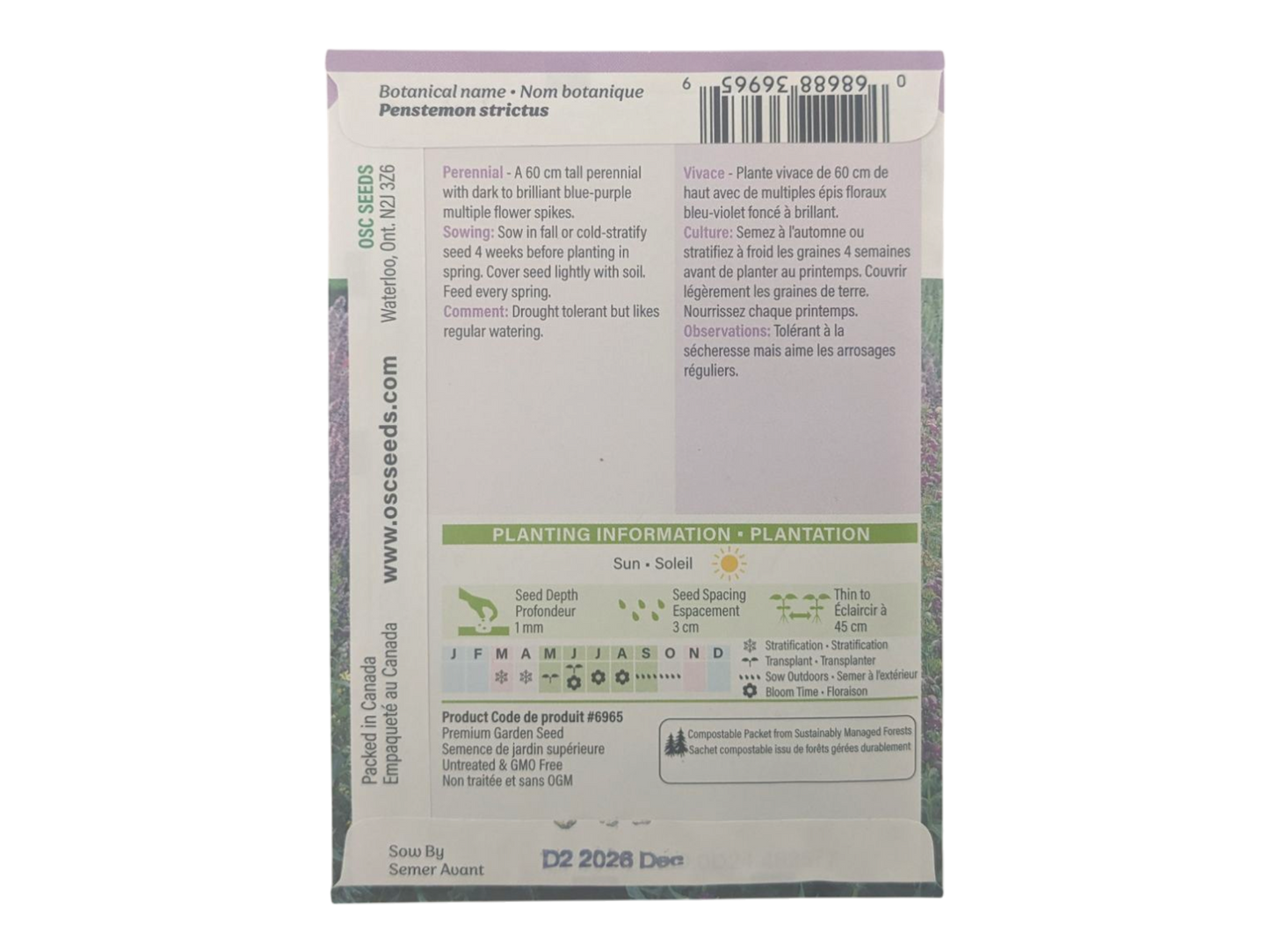 Penstemon Rocky Mountain