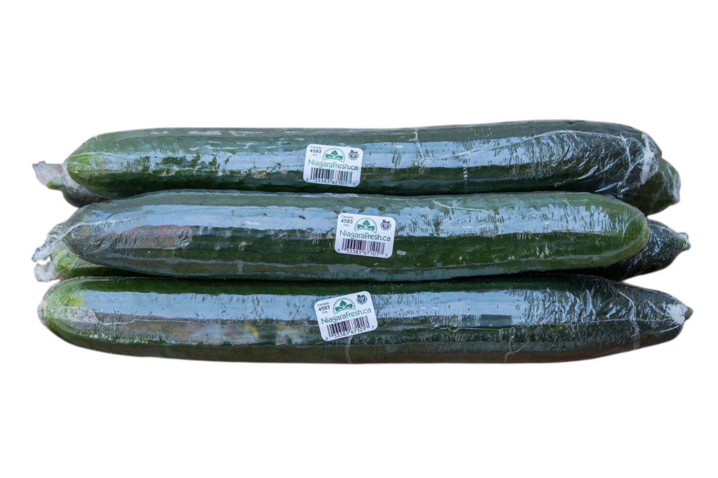English Cucumbers - Local (Homegrown)