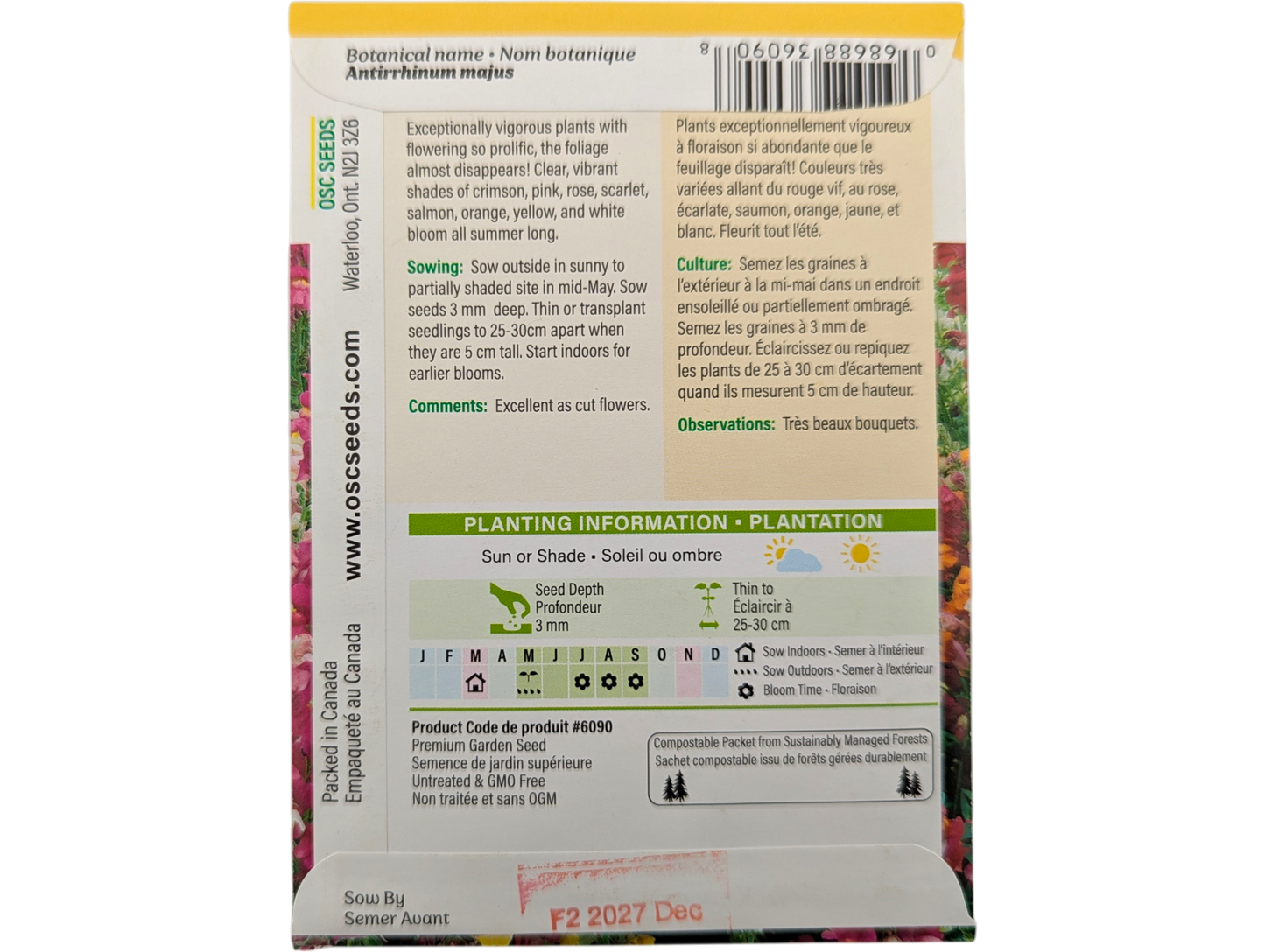 Snapdragon Panorama Mixed Colours