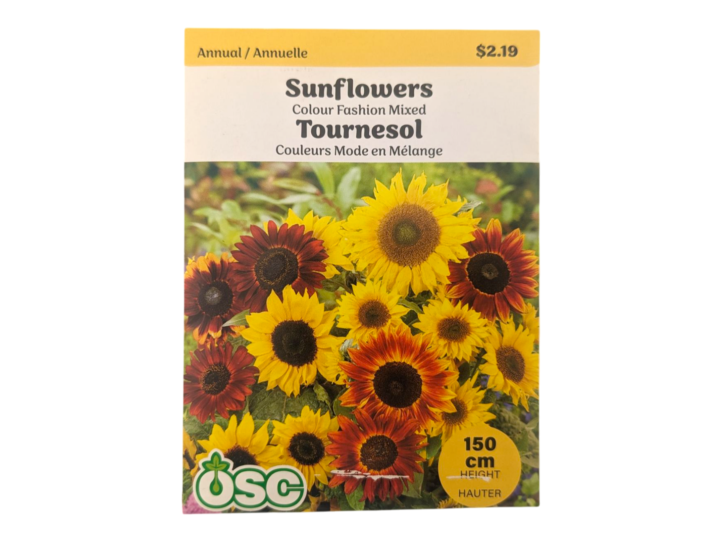Sunflowers Colour Fashion Mixed