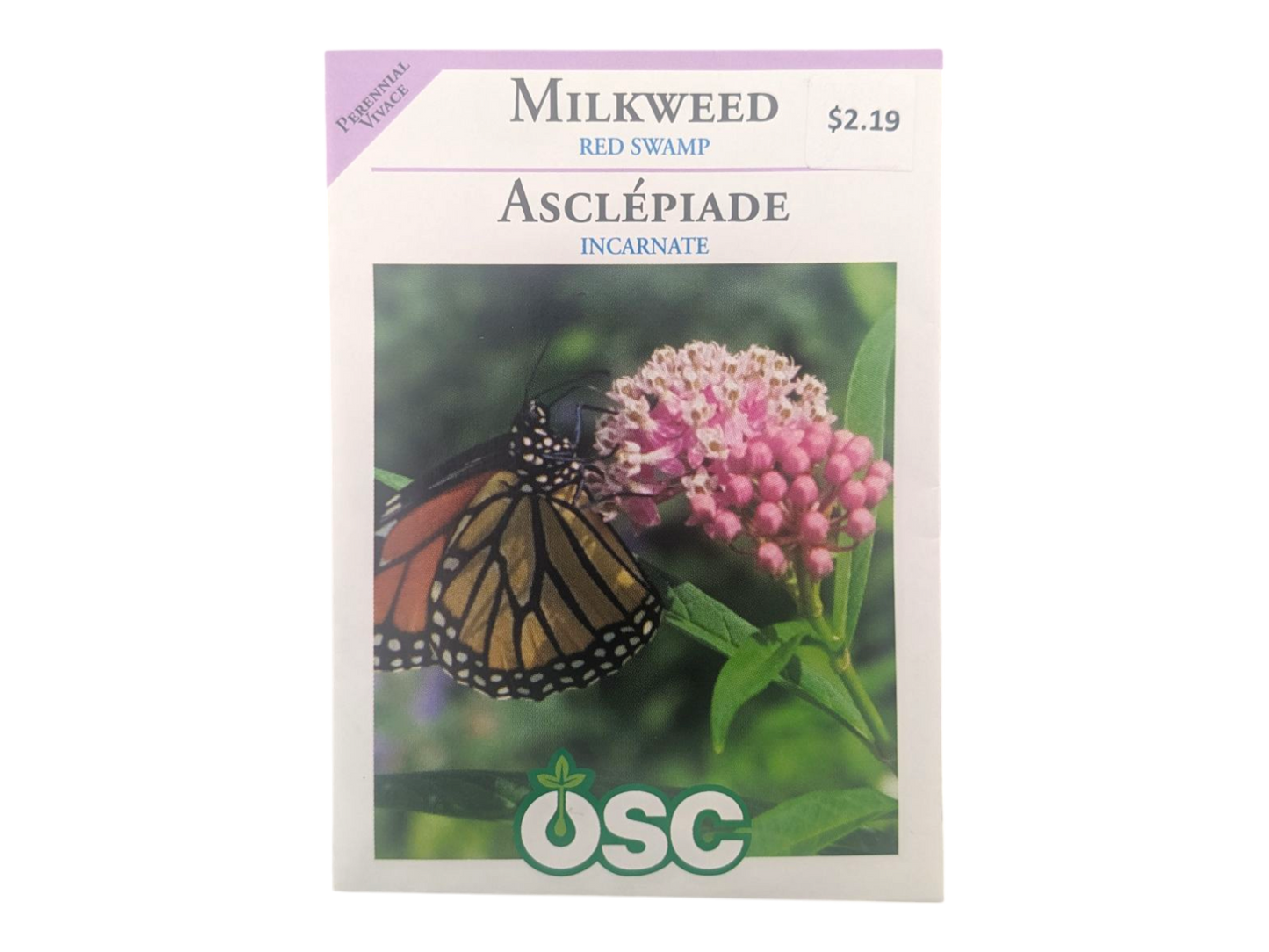 Milkweed Red Swamp