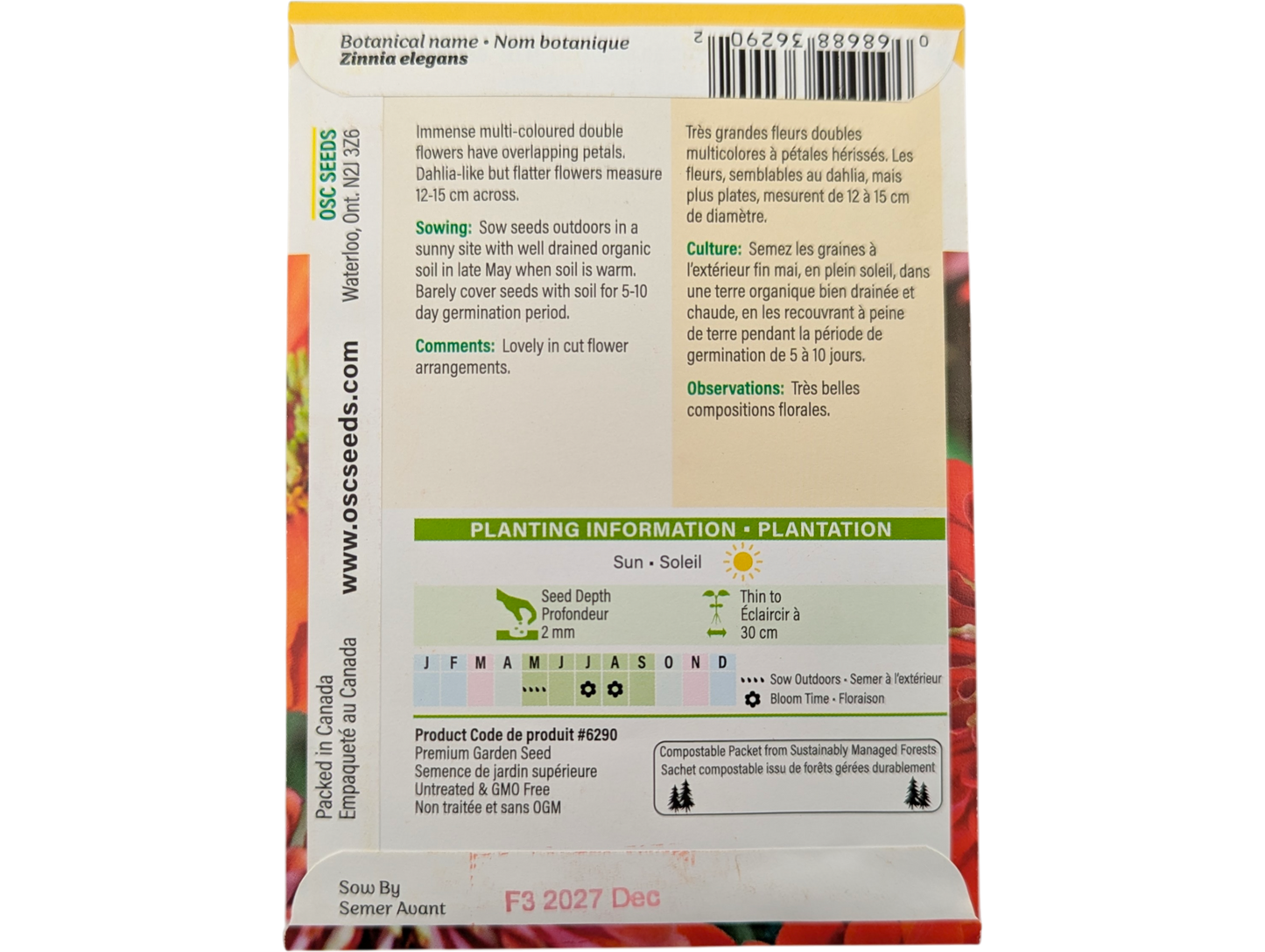 Zinnia Giants of California Mixed