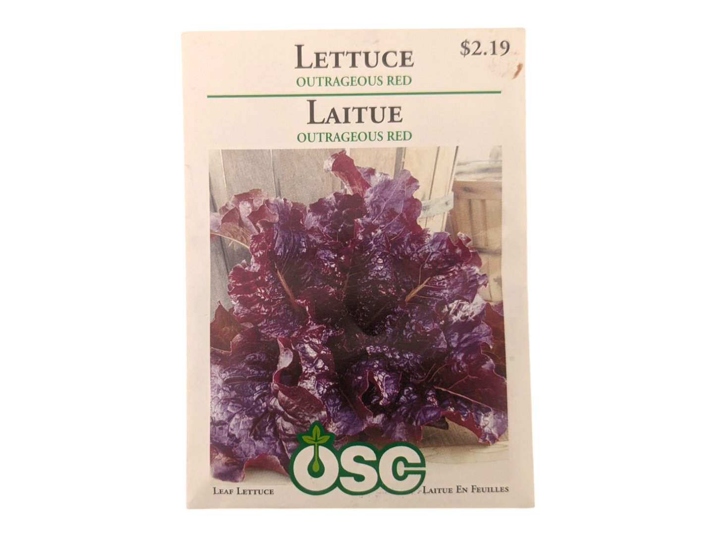 Lettuce Outrageous Red