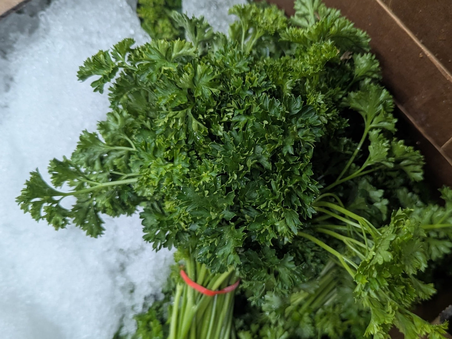 Fresh Cut Curly Parsley - Local Bunch