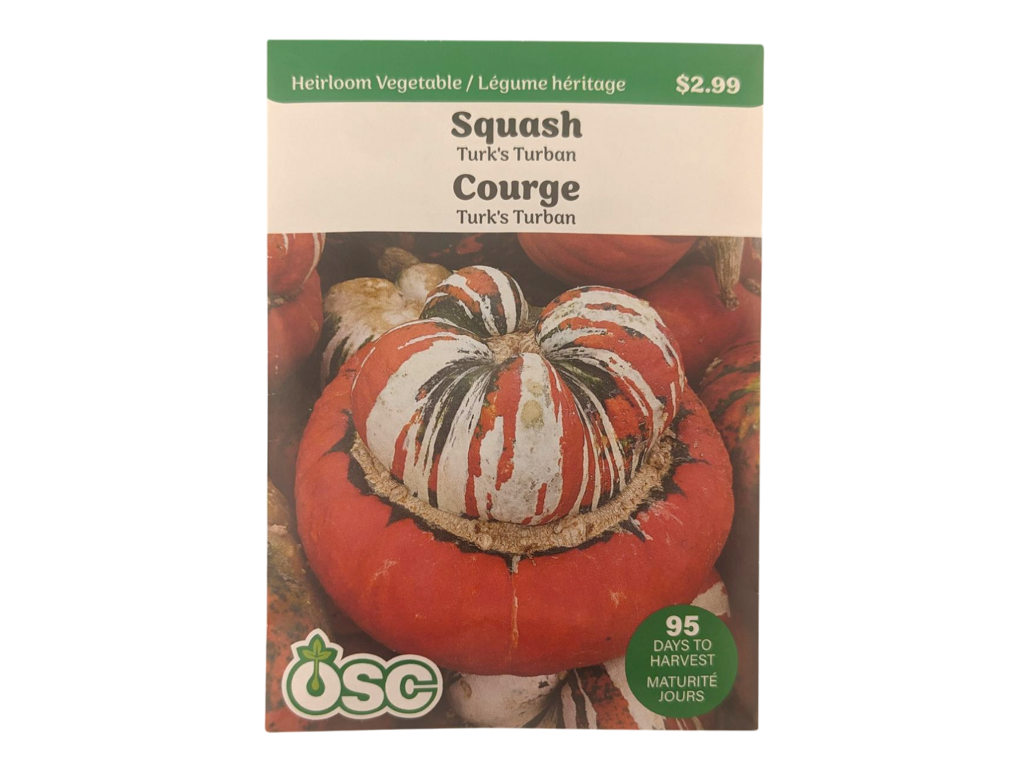 Squash Turk's Turban