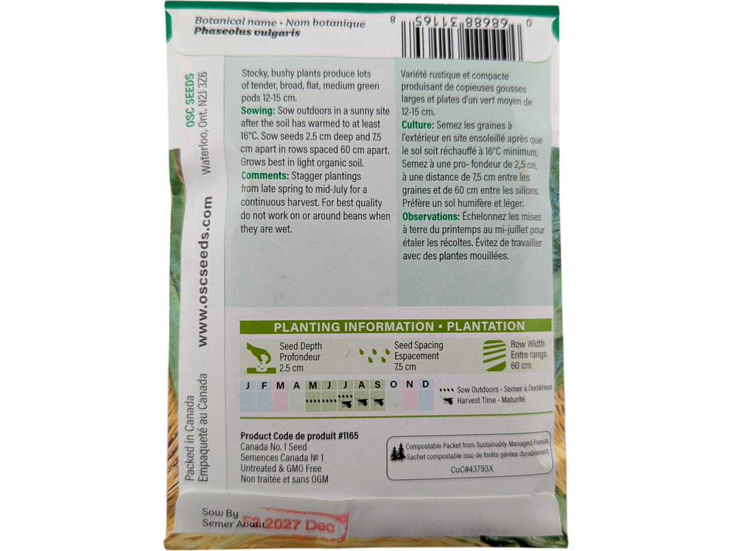 Beans Romano 11 Bush