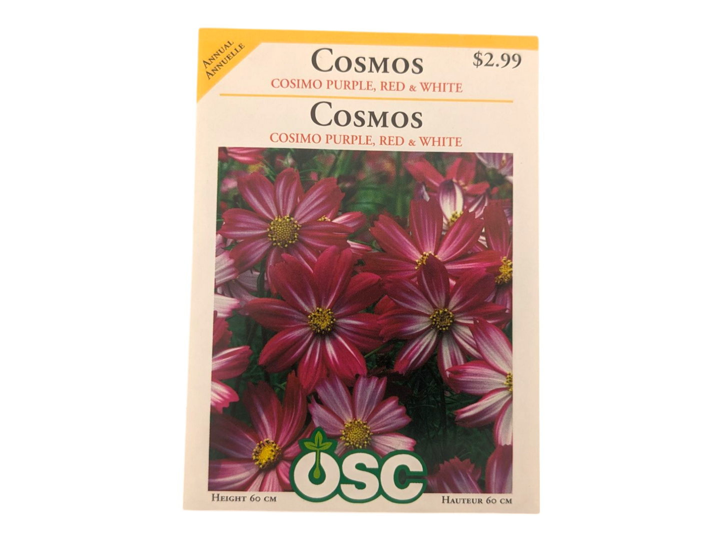 Cosmos Cosimo Purple, Red, & White