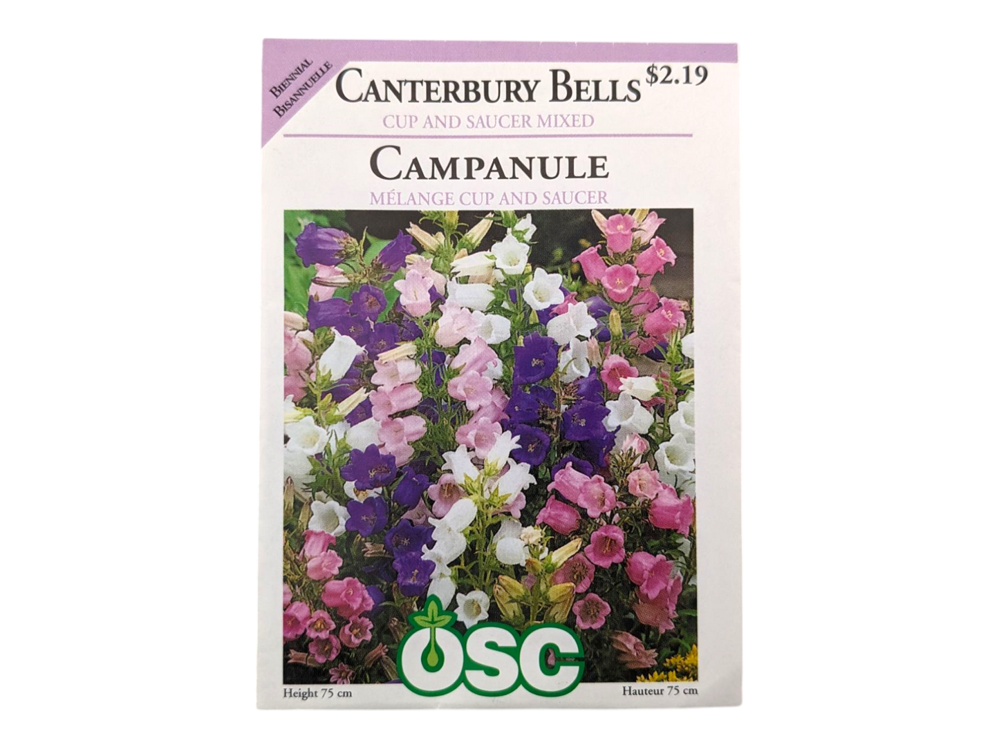 Canterbury Bells Cup and Saucer Mixed