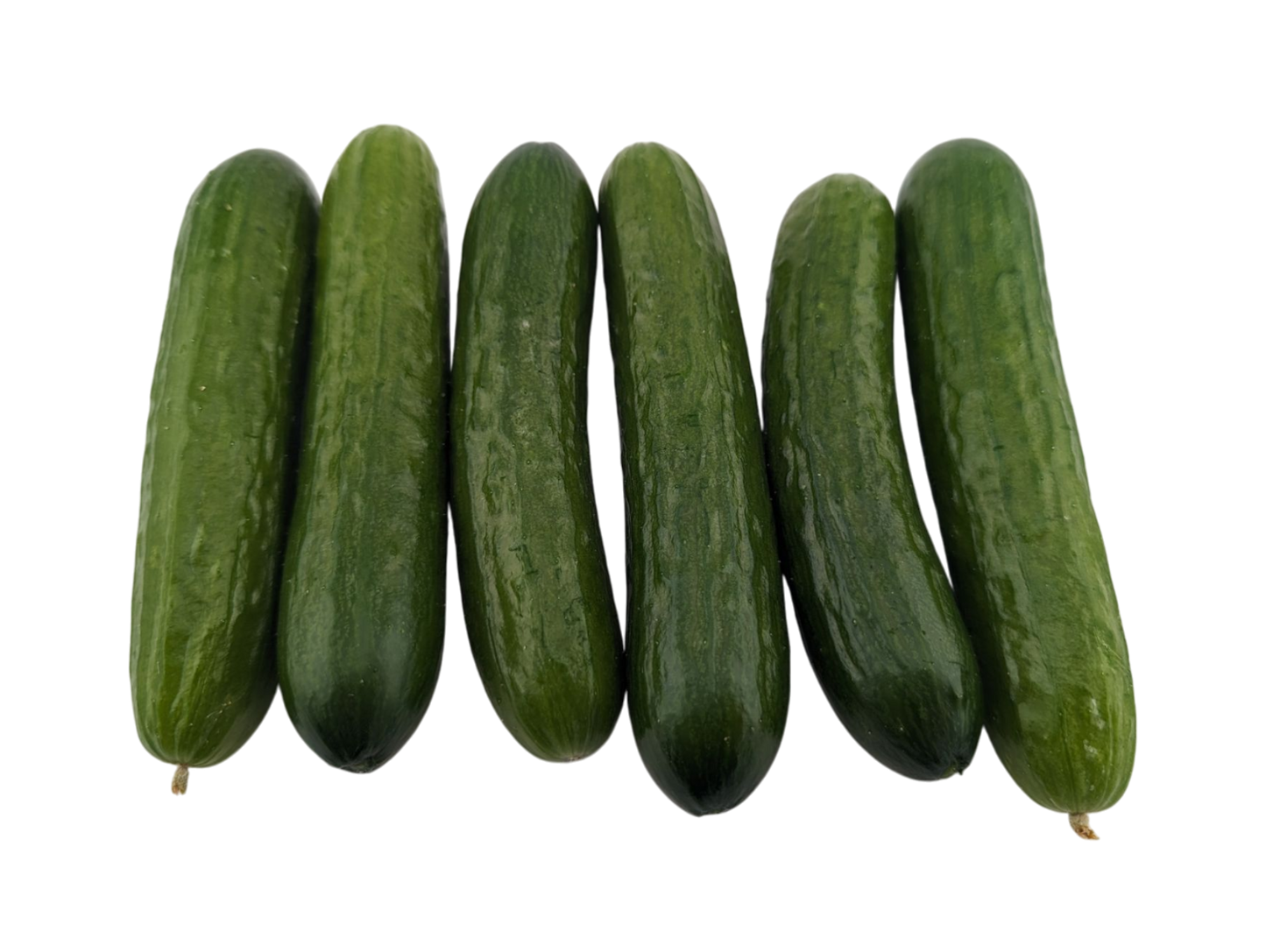 1lb Mini Cucumbers - Local