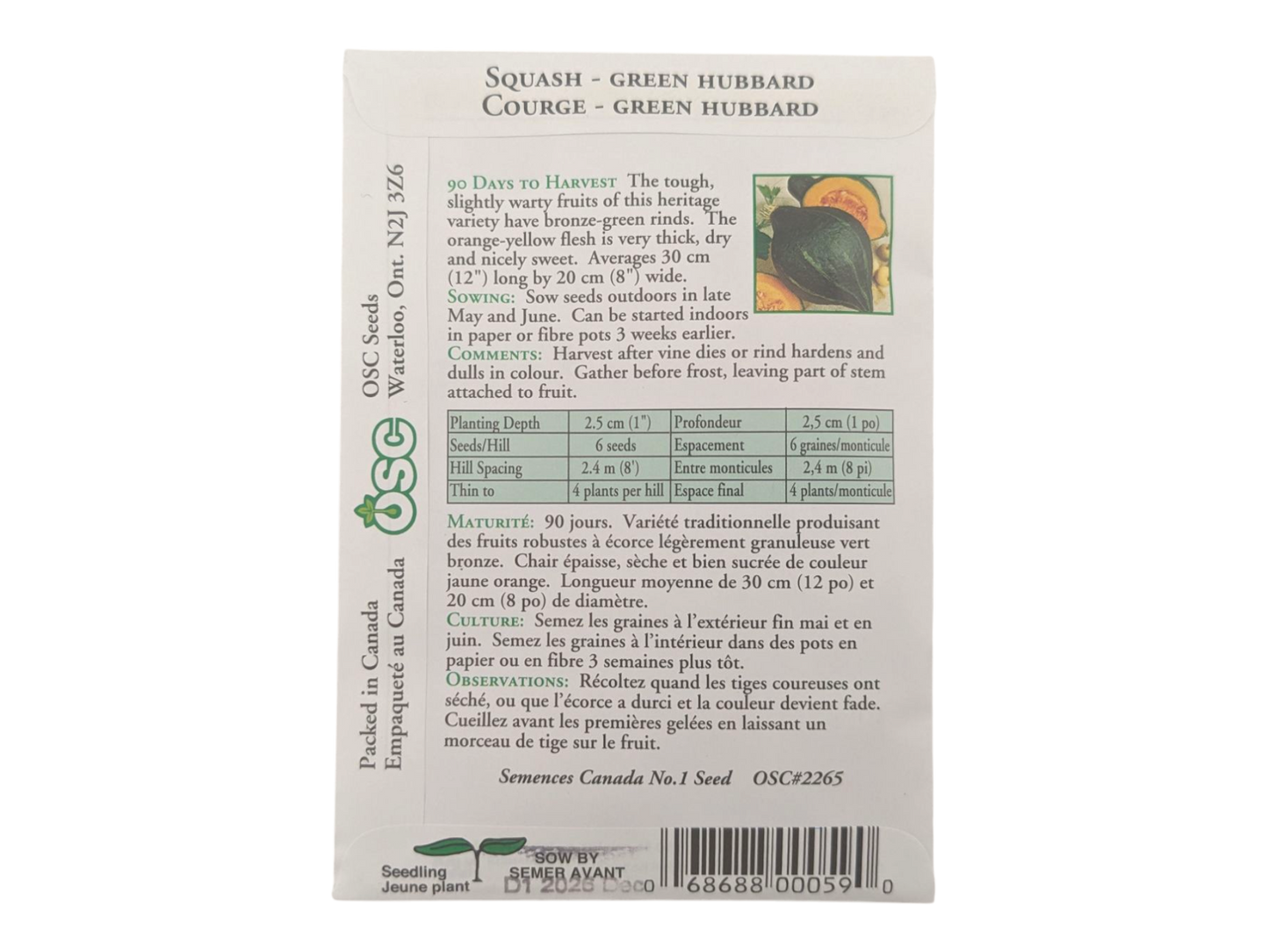 Squash Green Hubbard