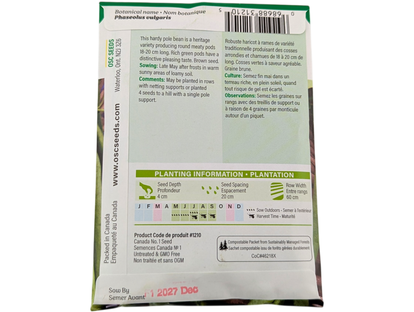 Pole Beans Kentucky Wonder Green