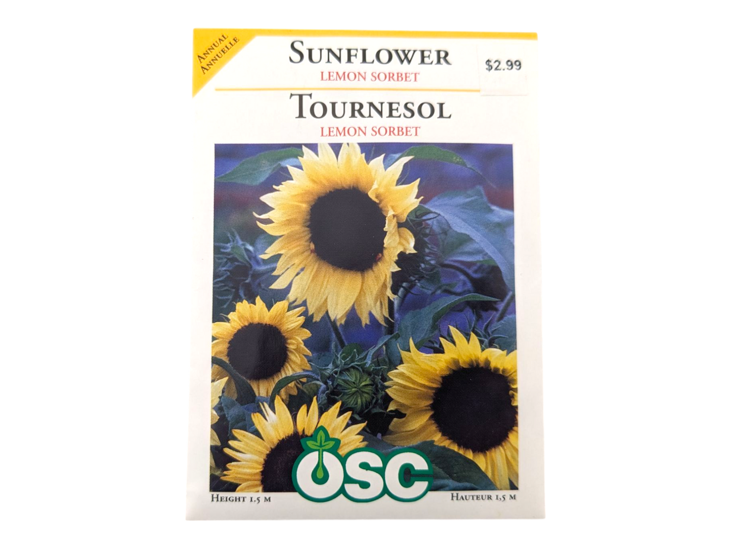 Sunflower Lemon Sorbet