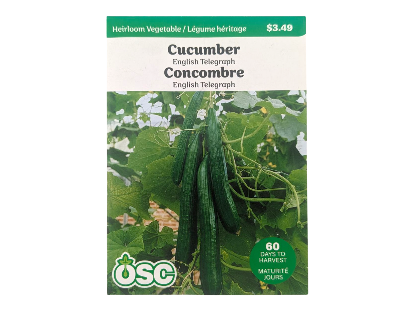 Cucumber English Telegraph