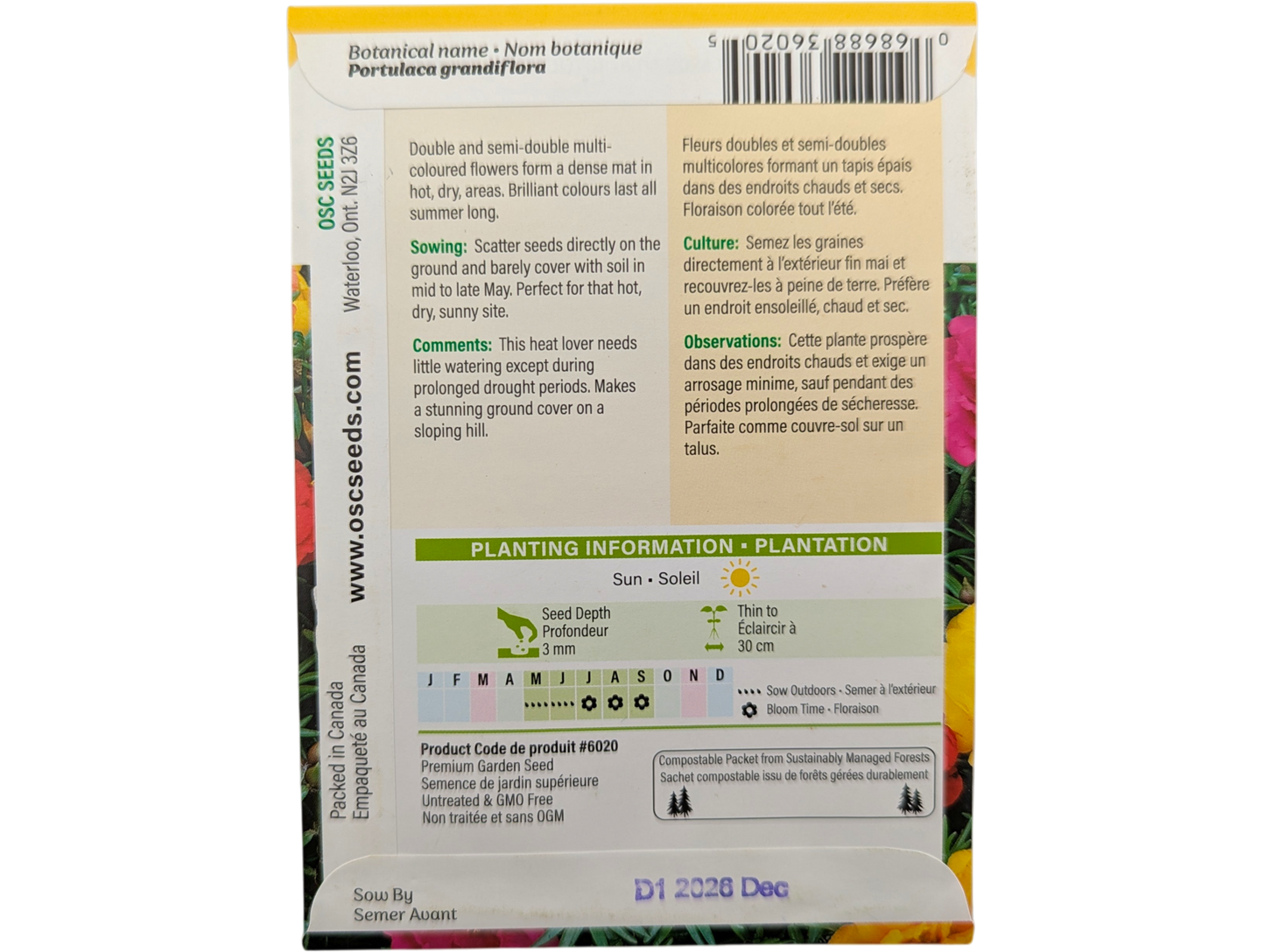 Portulaca Double Mixed Colours