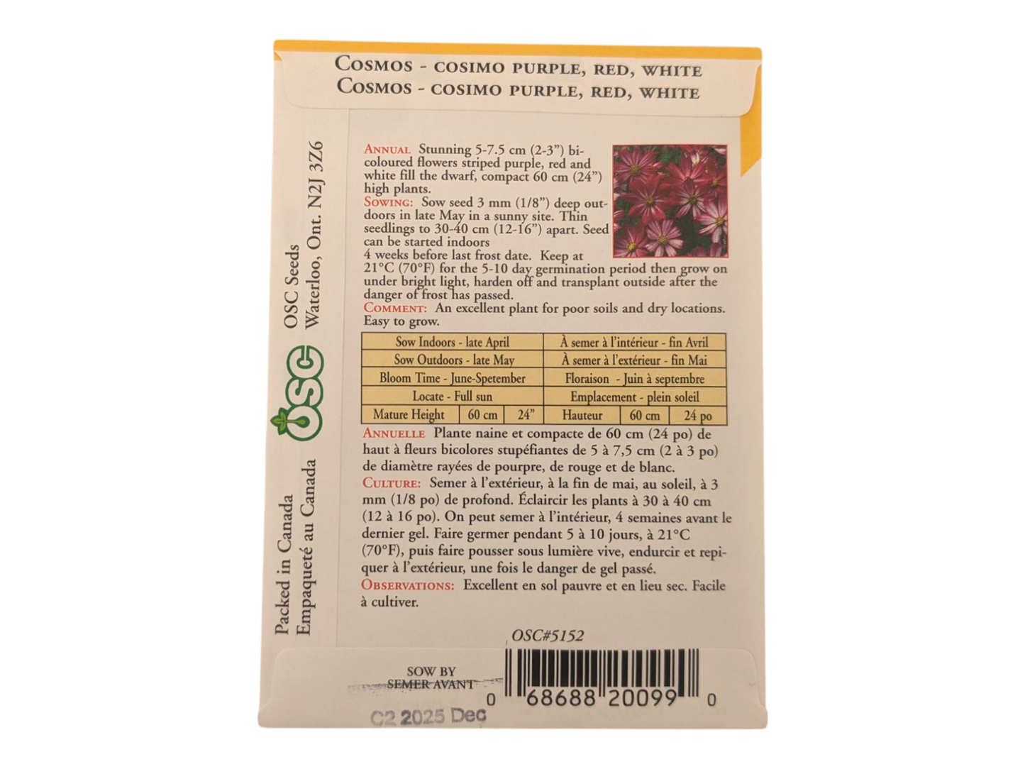 Cosmos Cosimo Purple, Red, & White