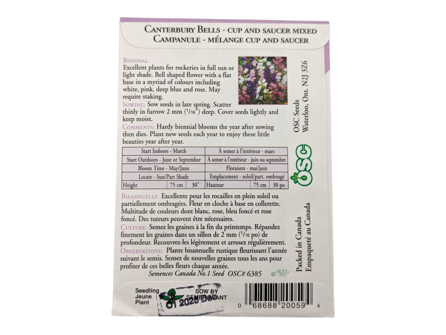 Canterbury Bells Cup and Saucer Mixed