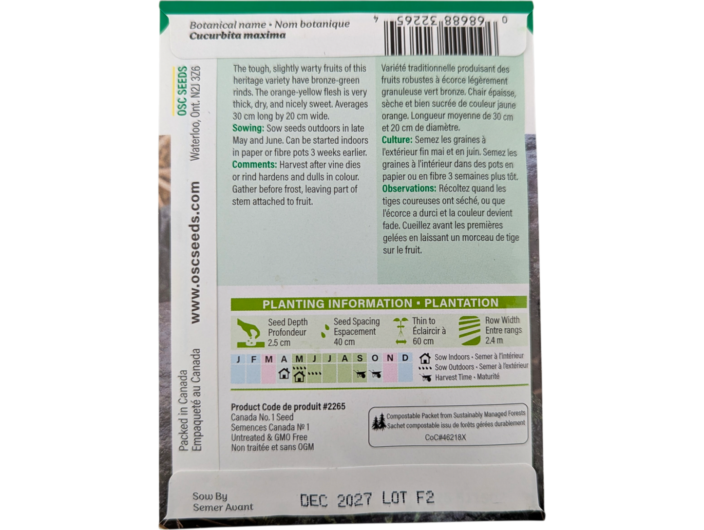 Winter Squash Green Hubbard