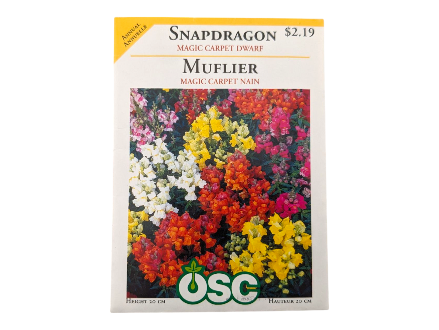 Snapdragon Magic Carpet Dwarf