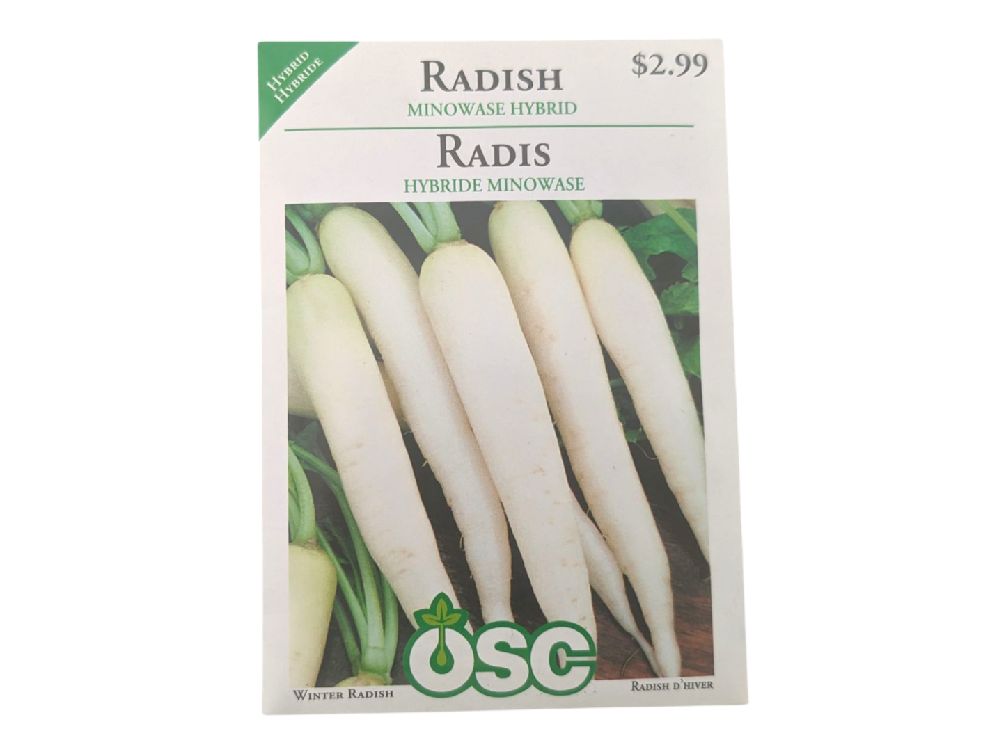 Radish Minowase Hybrid