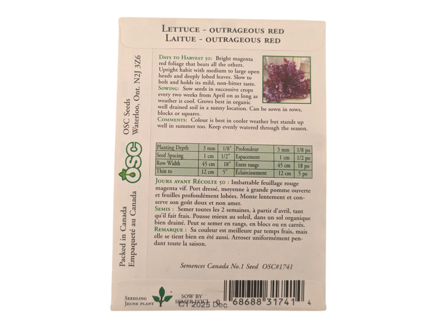 Lettuce Outrageous Red