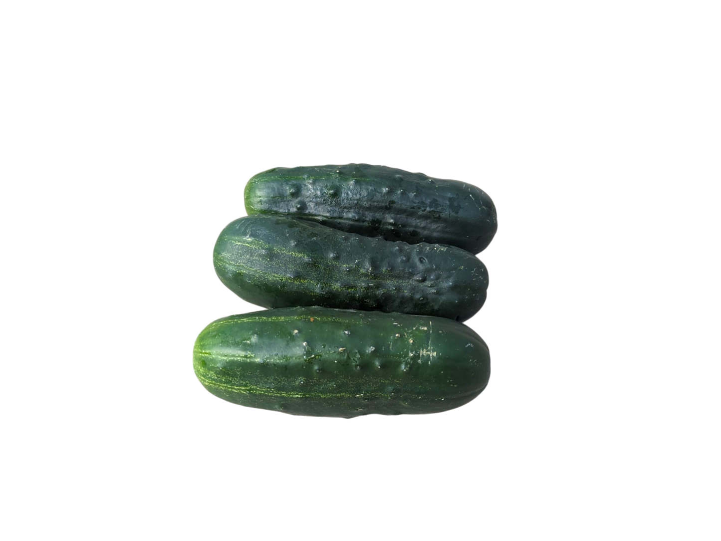 Pickling Cucumbers - 2lbs