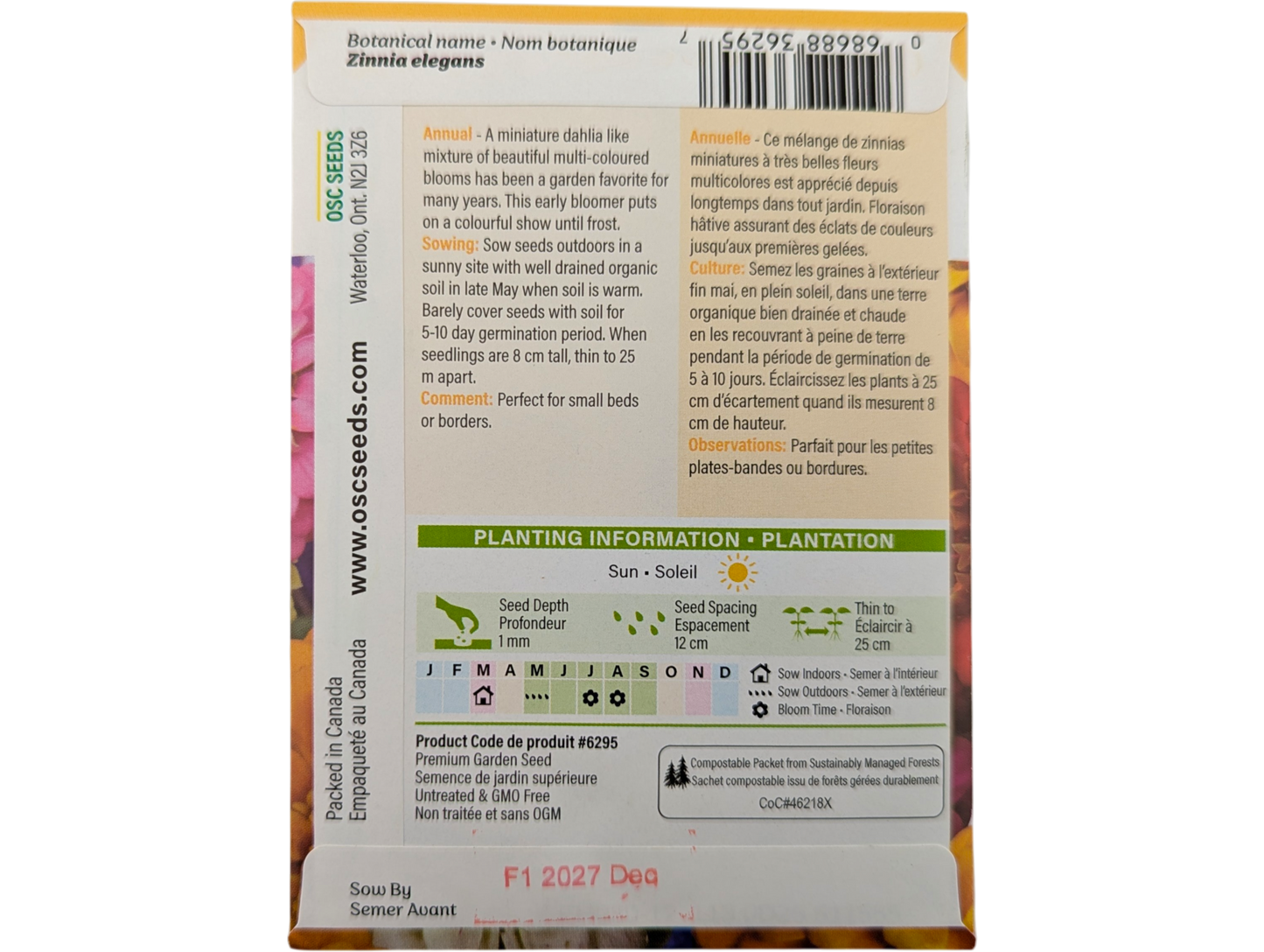 Zinnia Pom Pom or Lilliput Mixed