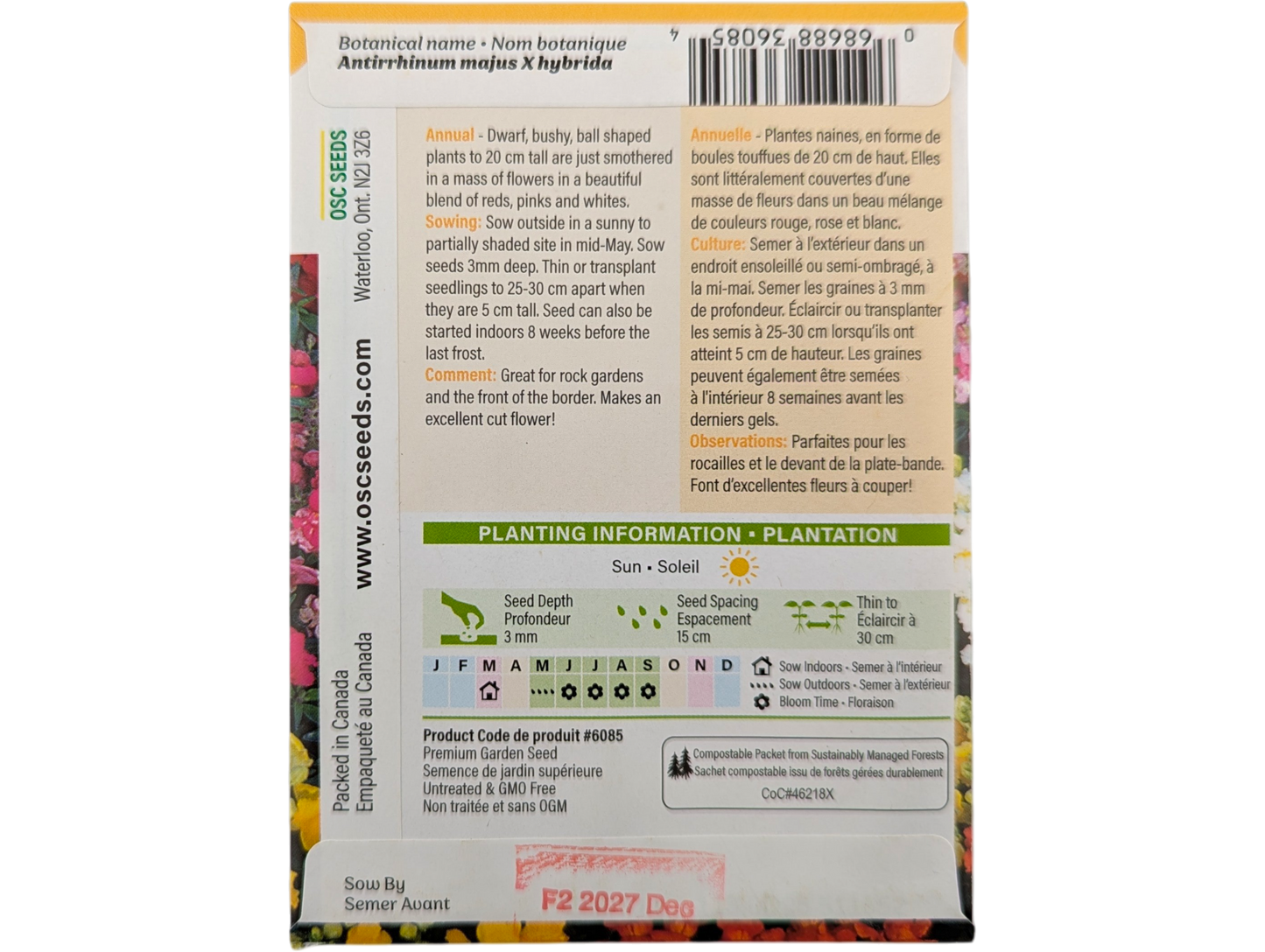 Snapdragon Magic Carpet Dwarf