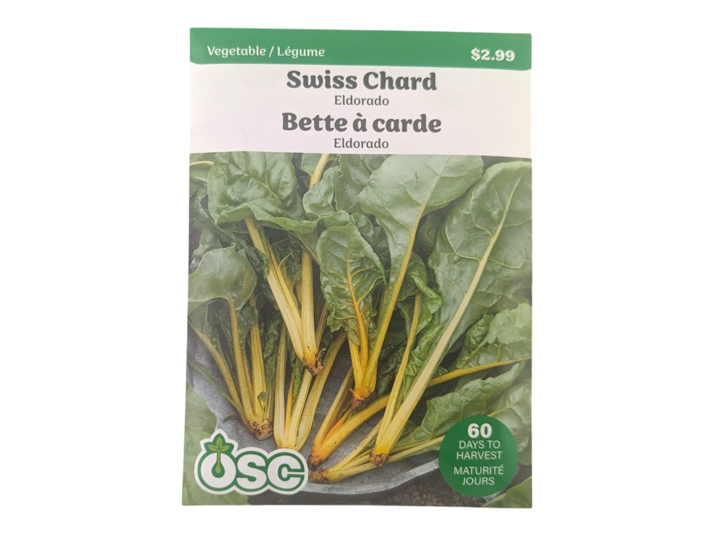 Swiss Chard Eldorado