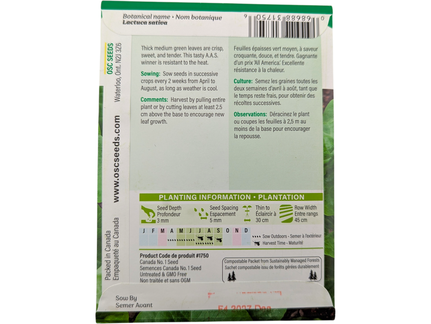 Lettuce Buttercrunch