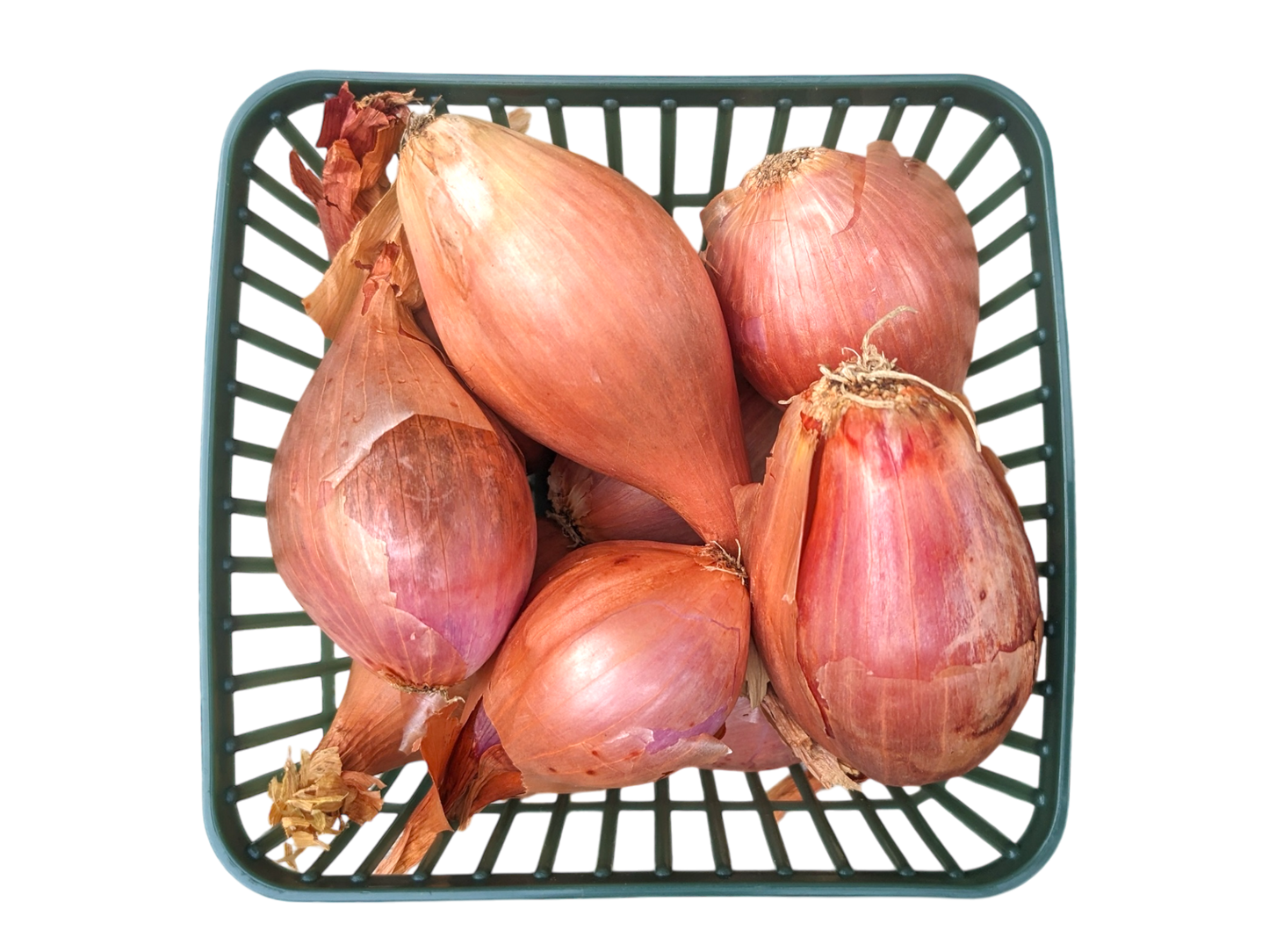 Shallots - 1lb