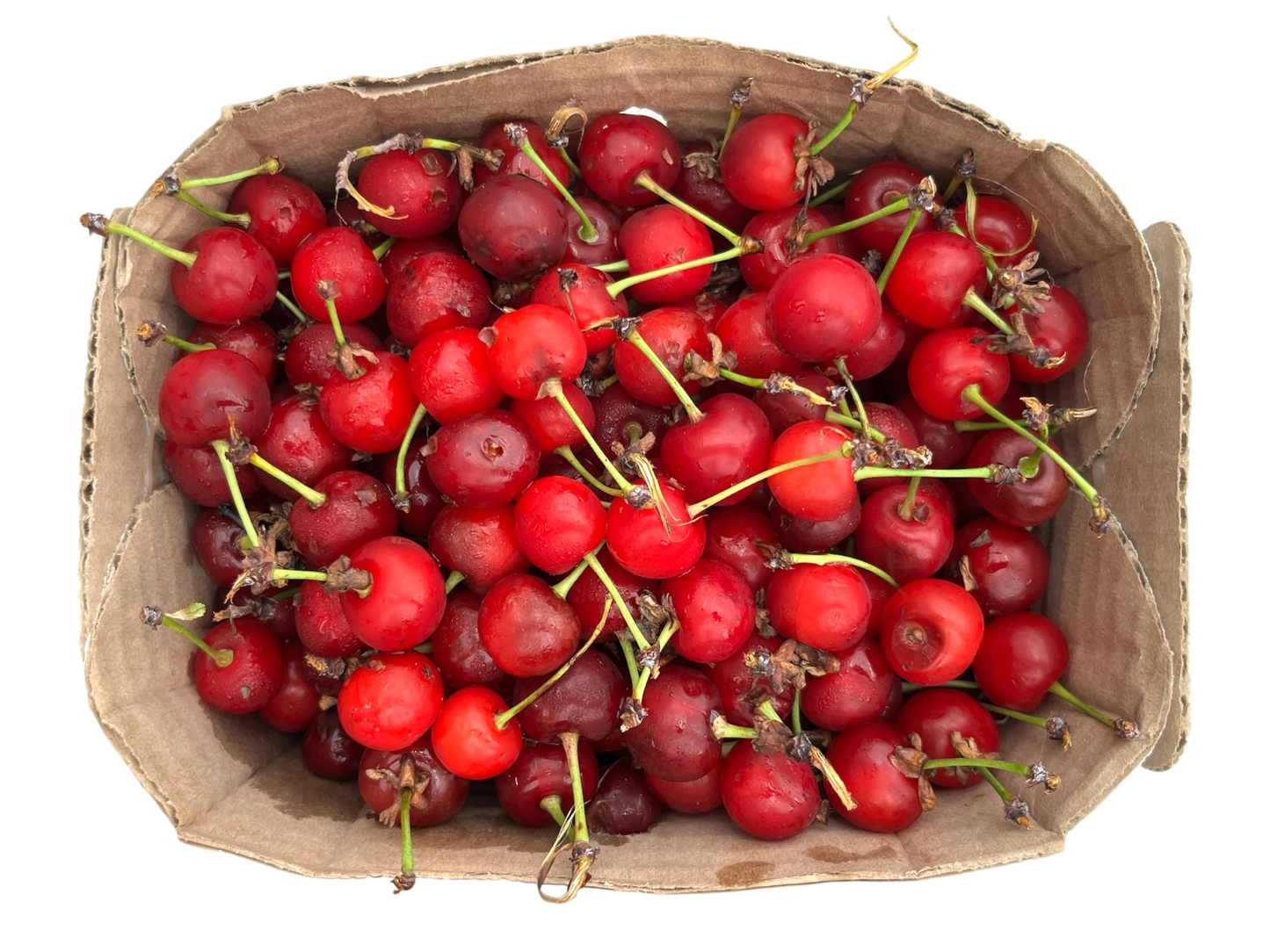 Local Sour Cherries