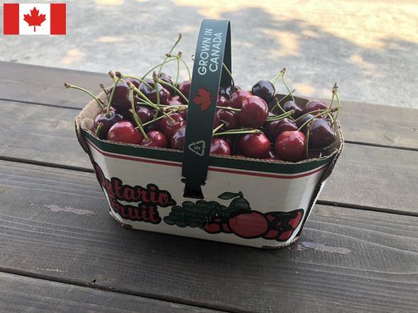 Local Sweet Cherries