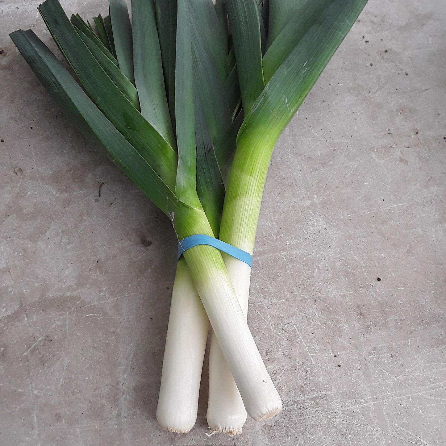 Leeks - Local