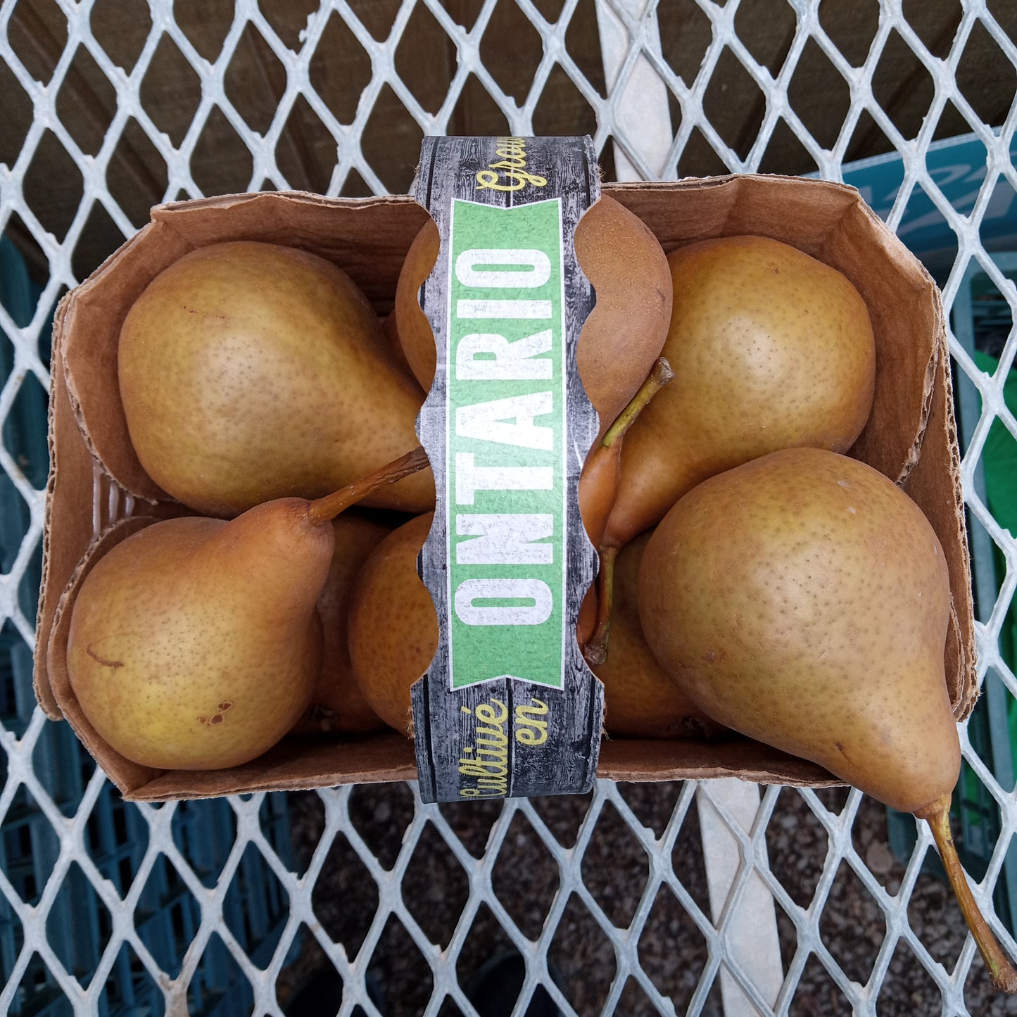 Bartlett Pears - Local
