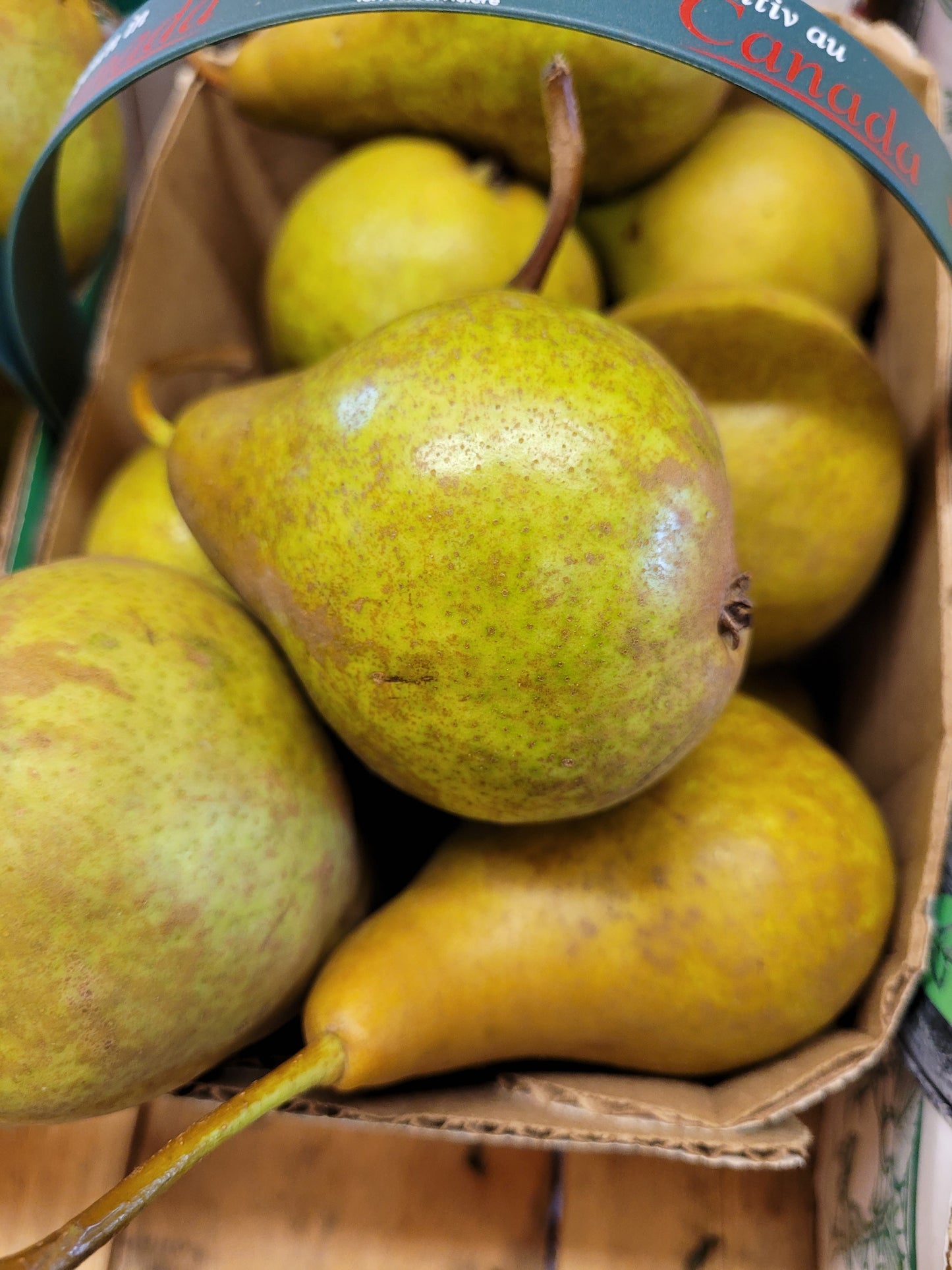 Bartlett Pears - Local