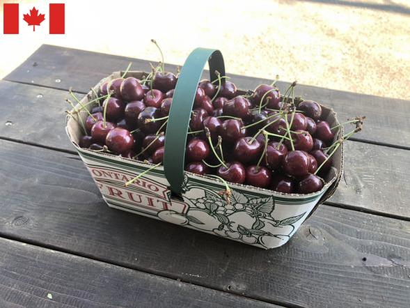 Local Sweet Cherries
