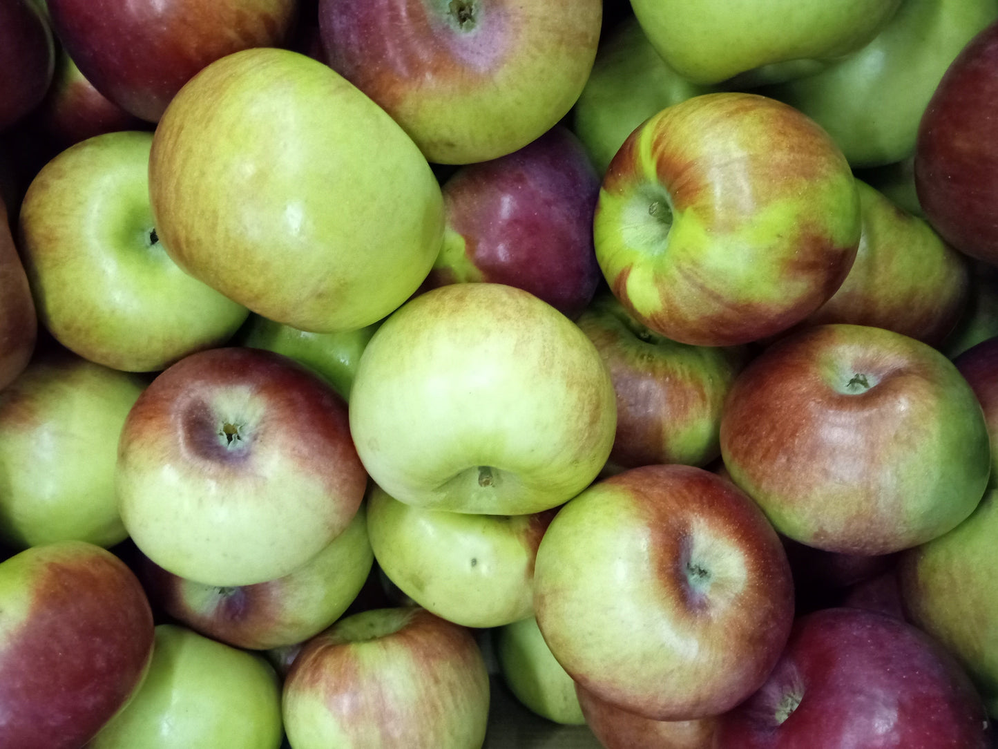 Cortland Apples - Local