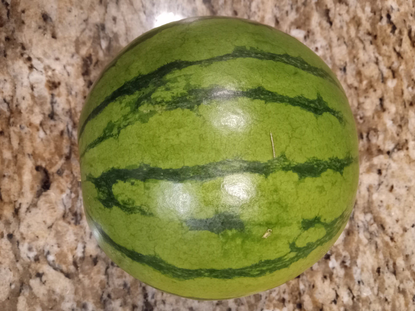 Mini Seedless Watermelon
