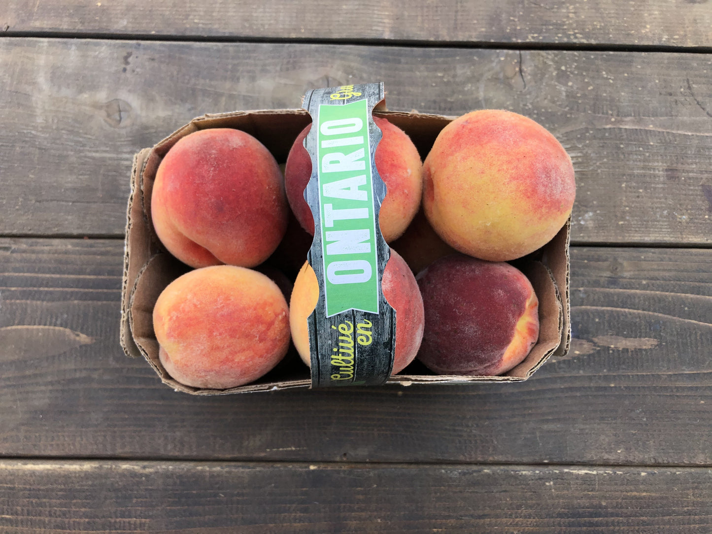 Local Peaches - Early Blush