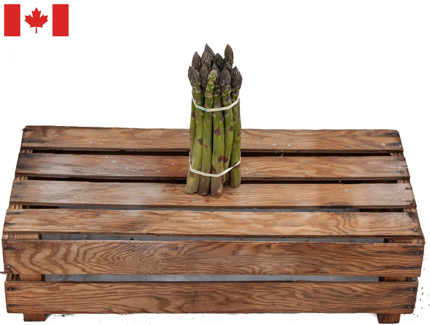 Local Asparagus - 1lb bunches