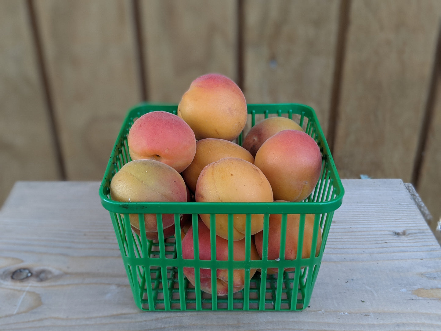 Apricots - Local