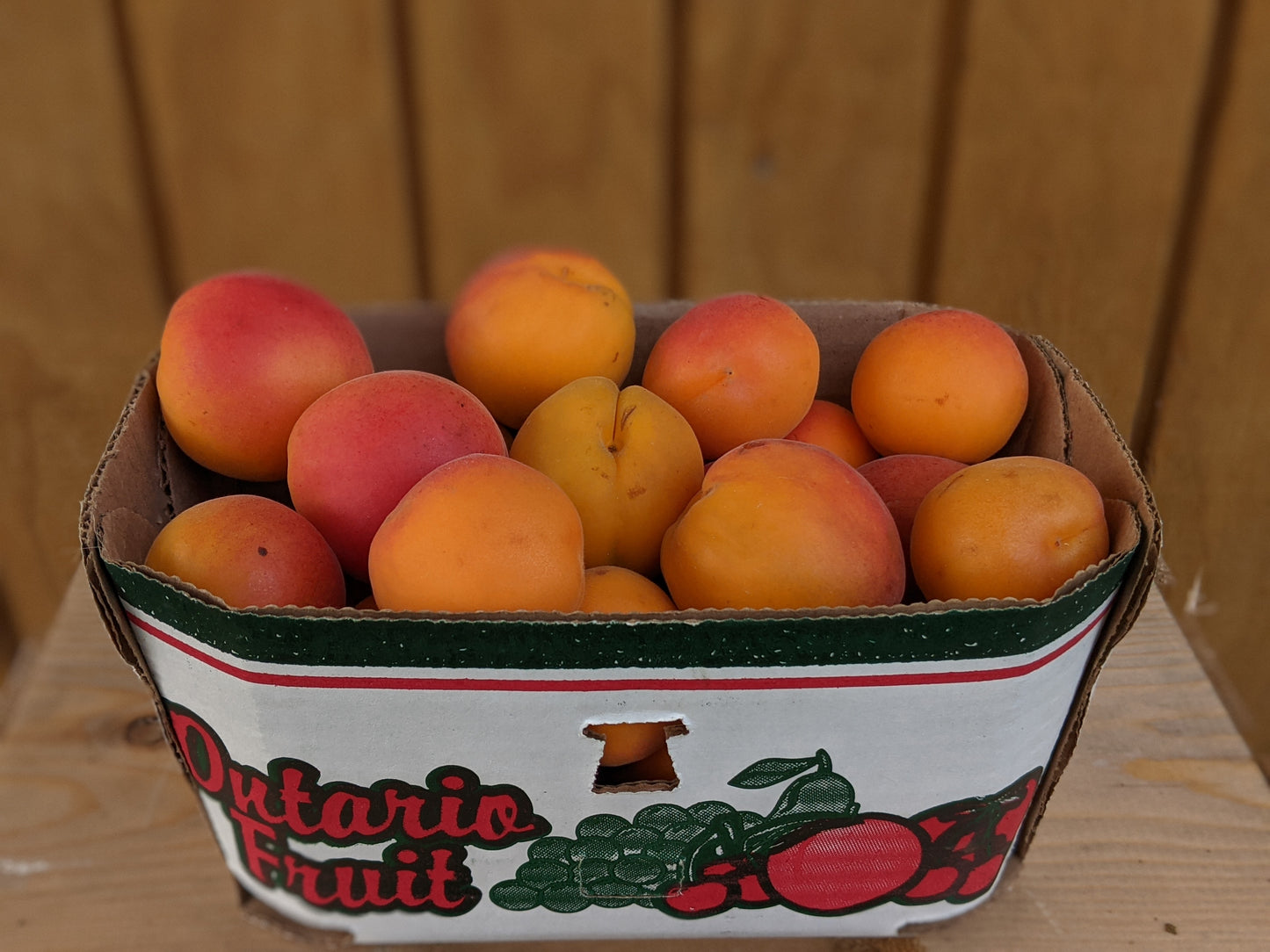 Apricots - Local