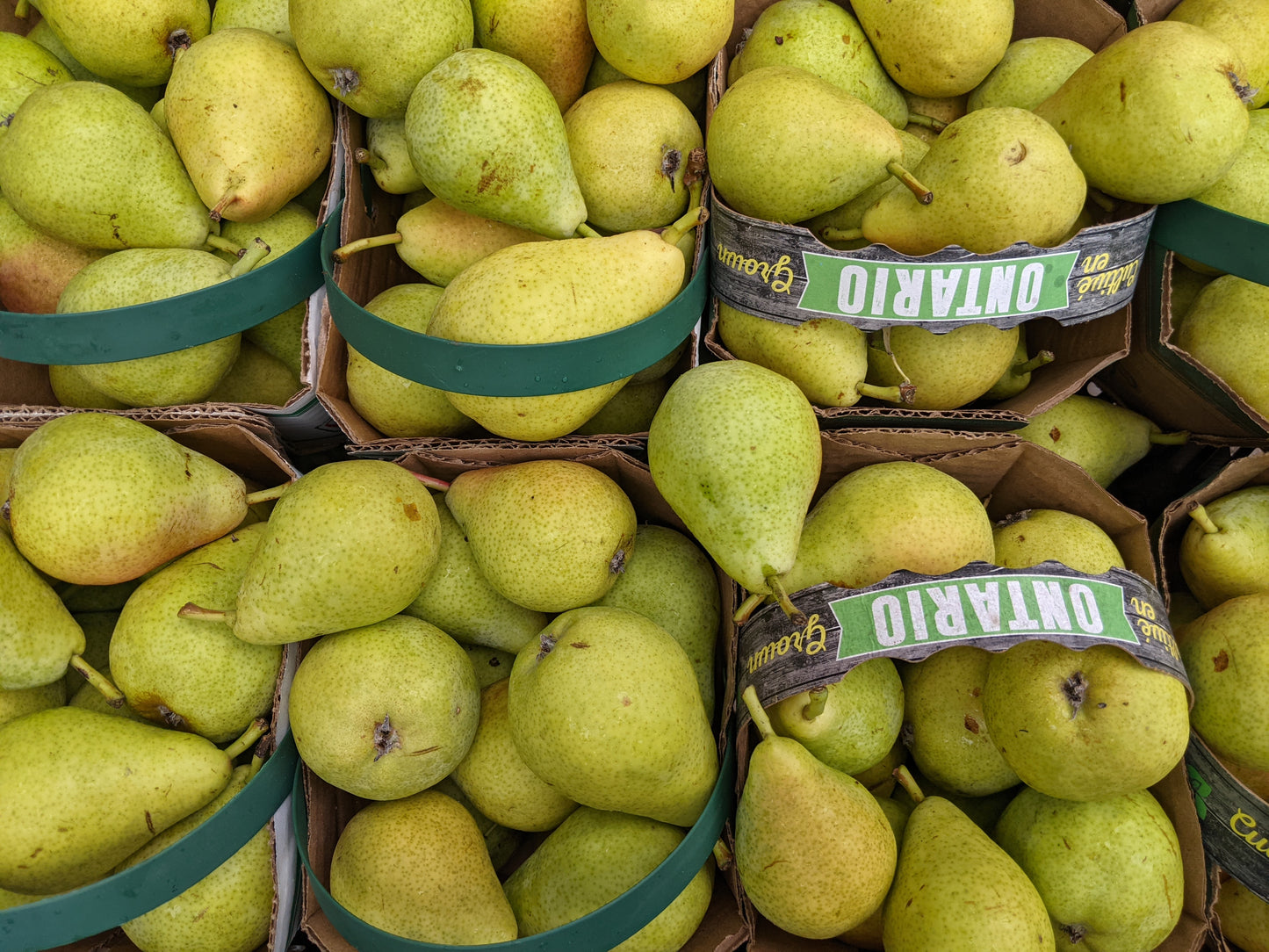 Bartlett Pears - Local